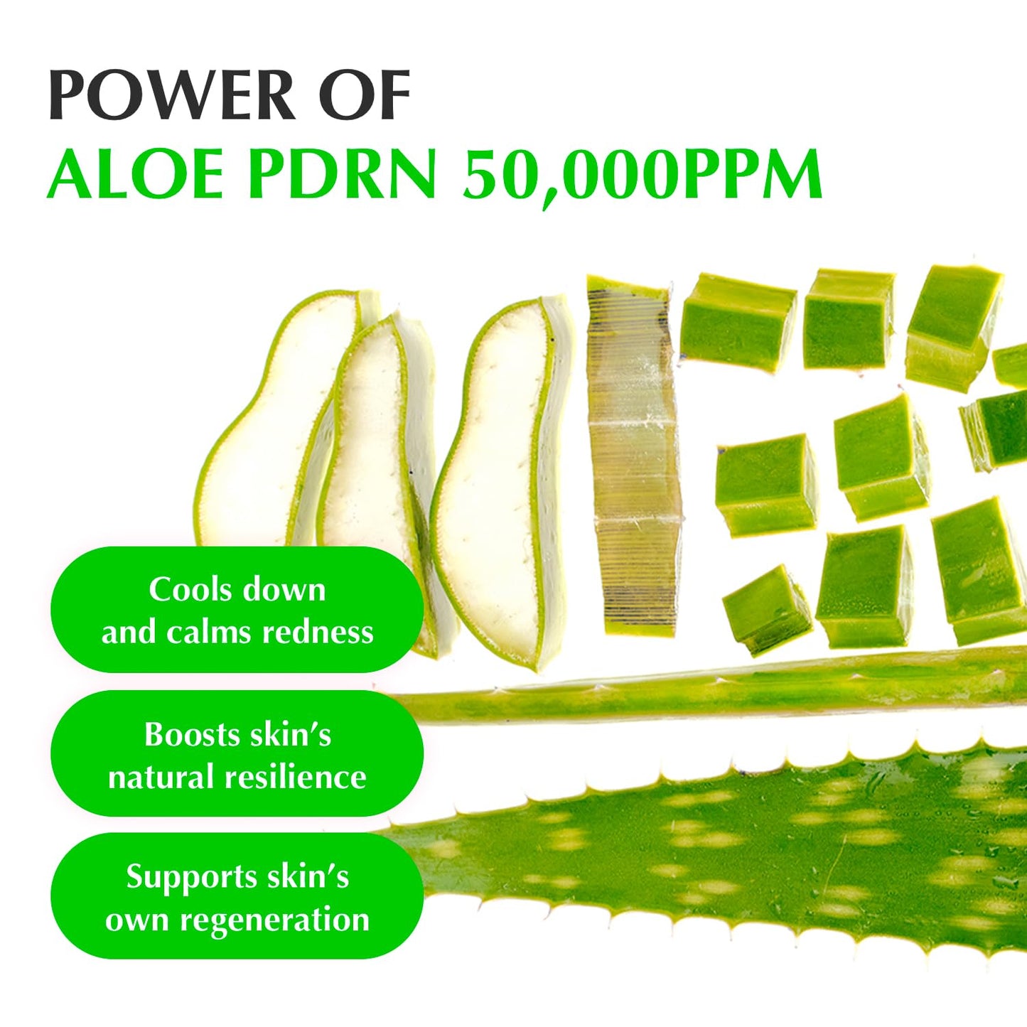 EQQUALBERRY Aloe PDRN Calming Smoothie Serum – 30ml